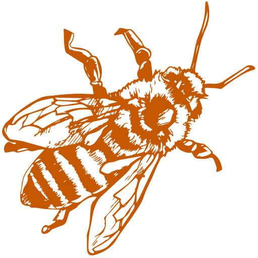 Miere BIO Naturală – Produse Apicole – Honey Colonia