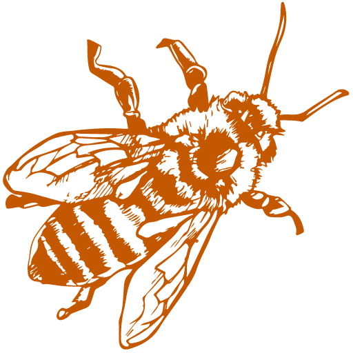 Miere BIO Naturală – Produse Apicole – Honey Colonia