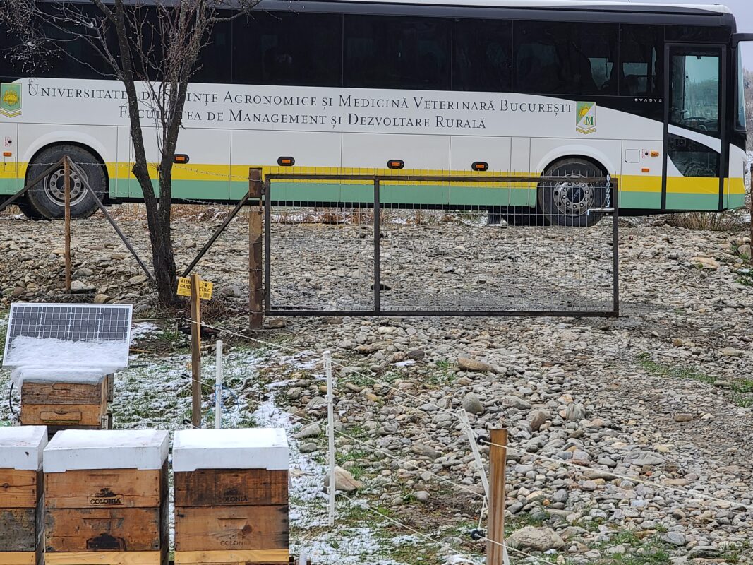 honeycolonia despre noi