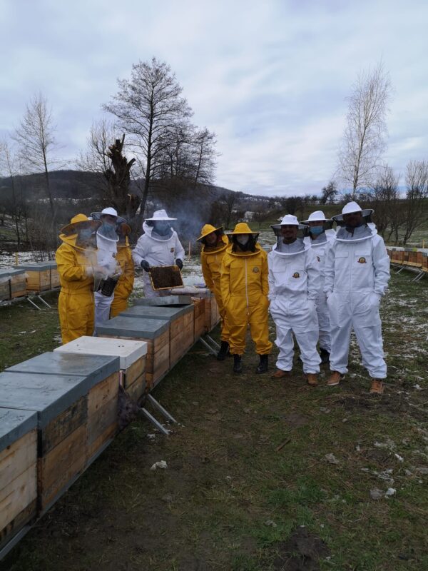 honeycolonia.com despre noi