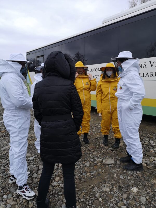 honeycolonia.com despre noi