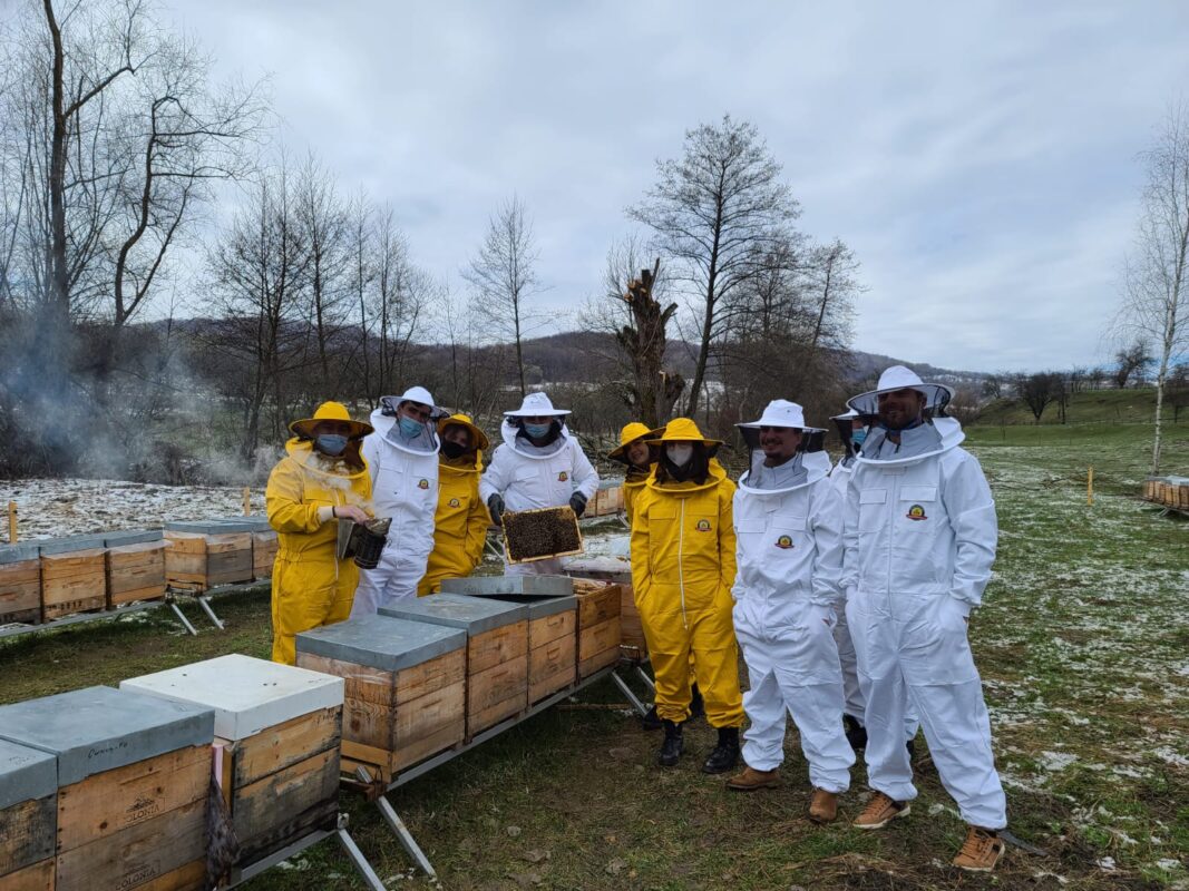 honeycolonia.com despre noi