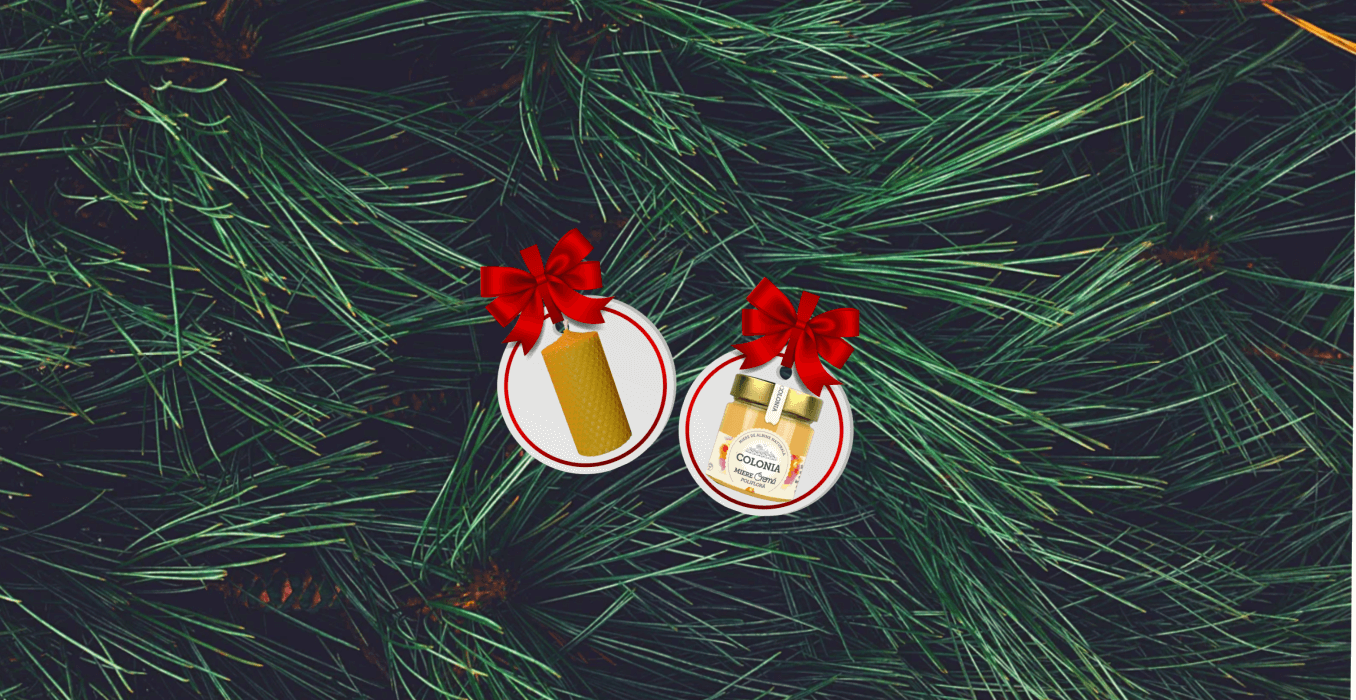 Miere BIO Naturală – Produse Apicole – Honey Colonia