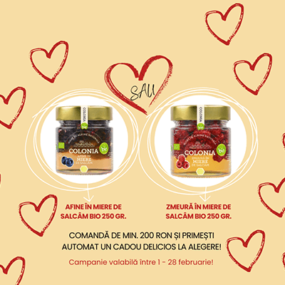 Miere BIO Naturală – Produse Apicole – Honey Colonia